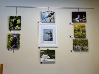 Joanne Morgan artwork